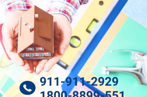 Looking for a professional painter in Jaipur & Rajasthan ?