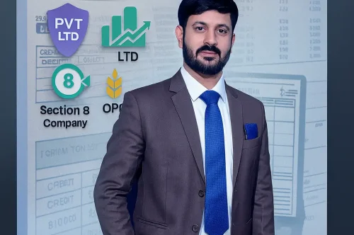 Types of Companies Under Companies Act 2013 | Complete Guide