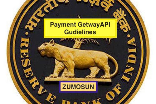 What are the  RBI Payment Gateway API Guidelines