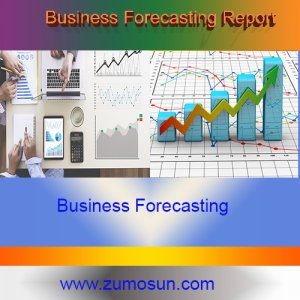 Business Forecasting Reports