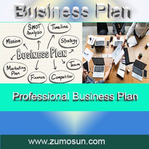 Business Plan Sample
