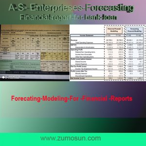 A S Enterprises Financial Statement Project Report