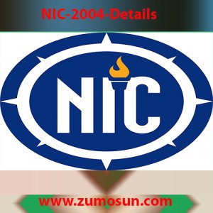NIC 2004 Details