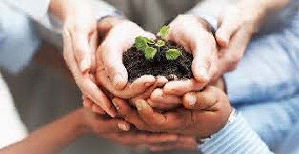 FARMERS PRODUCER ORGANIZATION REGISTRATION IN JAIPUR