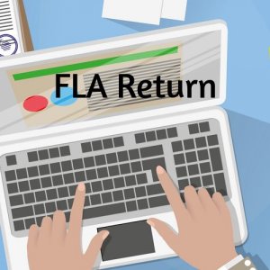 FLA return filing in jaipur