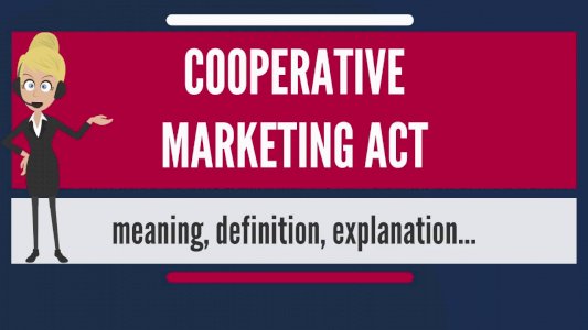 Marketing co-operative society registration service provider in Jaipur, Rajasthan