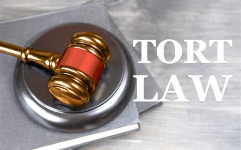 Law of Tort Litigation Overview-Thelegalbank