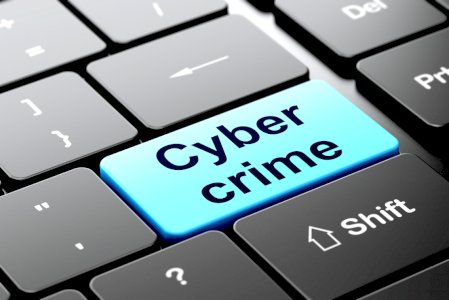 Cyber Crimes (IT) Law in India-Thelegalbank