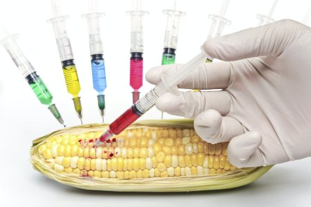 Food Adulteration Prevent Legal Terms