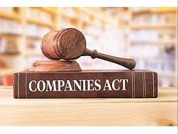 COMPANIES AMENDMENT BILL 2020